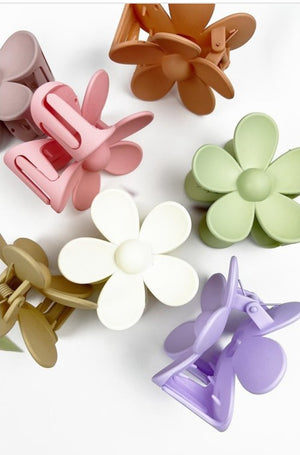 Assorted hair clips